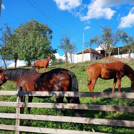 Poljoprivredno Turisticko Domacinstvo Deguric Appartement Valjevo Buitenkant foto
