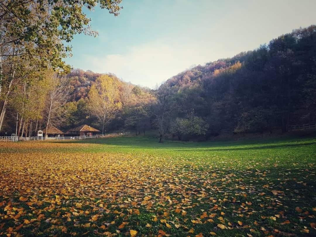 Poljoprivredno Turisticko Domacinstvo Deguric Appartement Valjevo Buitenkant foto