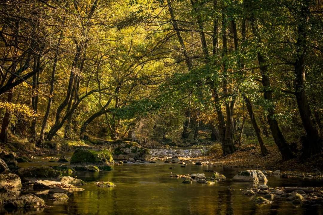 Poljoprivredno Turisticko Domacinstvo Deguric Appartement Valjevo Buitenkant foto