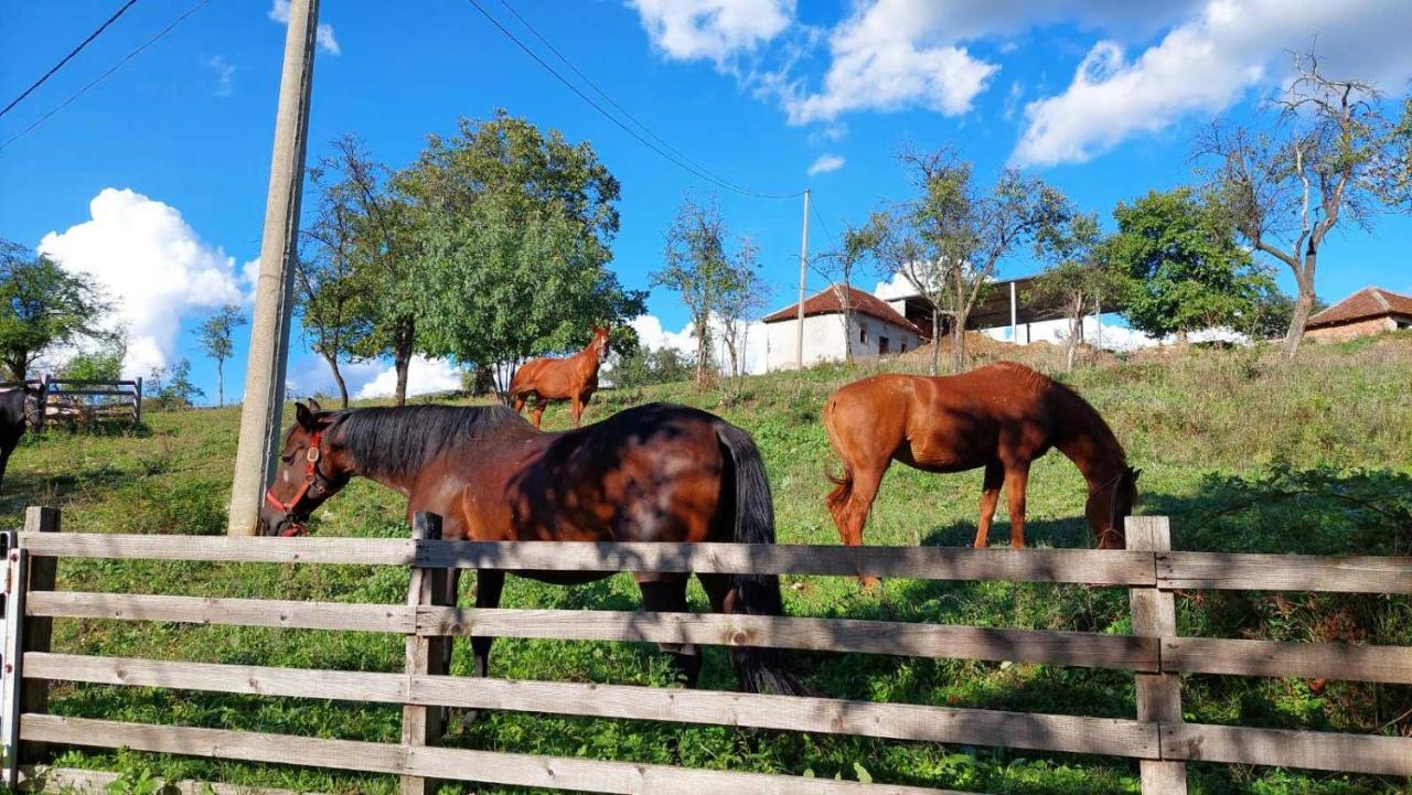 Poljoprivredno Turisticko Domacinstvo Deguric Appartement Valjevo Buitenkant foto