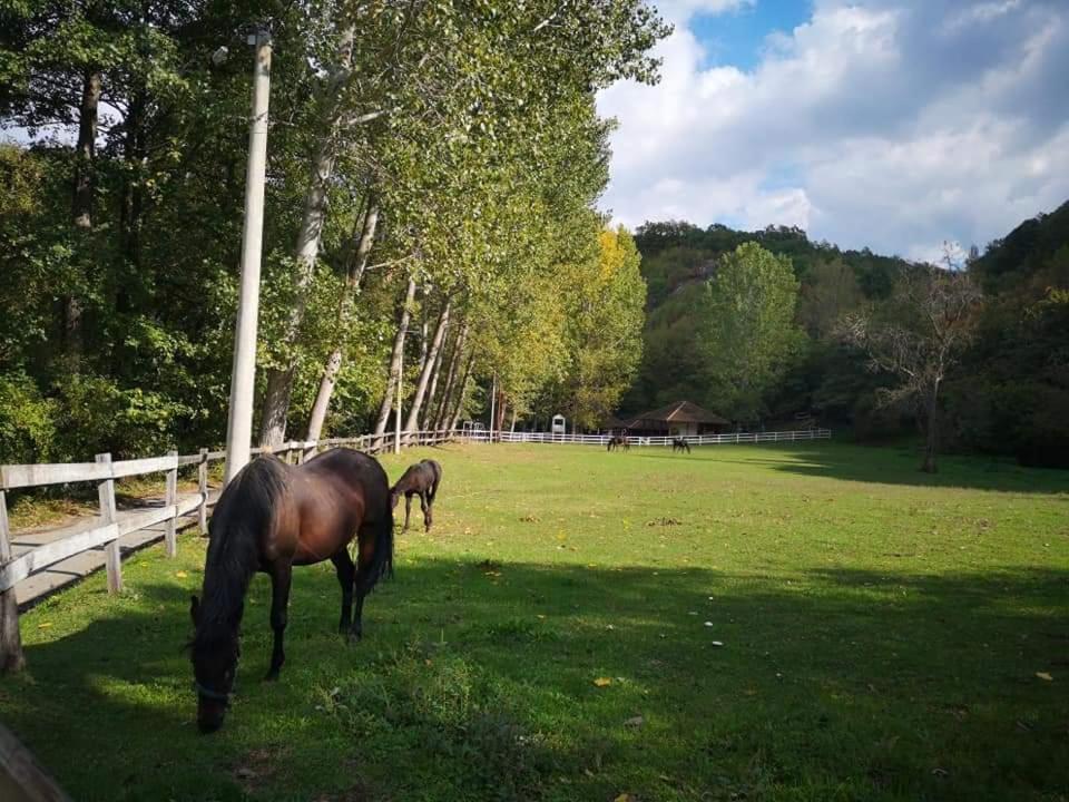 Poljoprivredno Turisticko Domacinstvo Deguric Appartement Valjevo Buitenkant foto