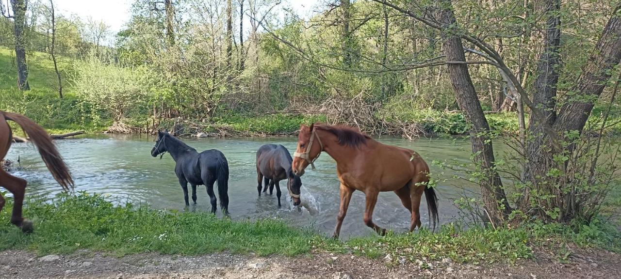 Poljoprivredno Turisticko Domacinstvo Deguric Appartement Valjevo Buitenkant foto