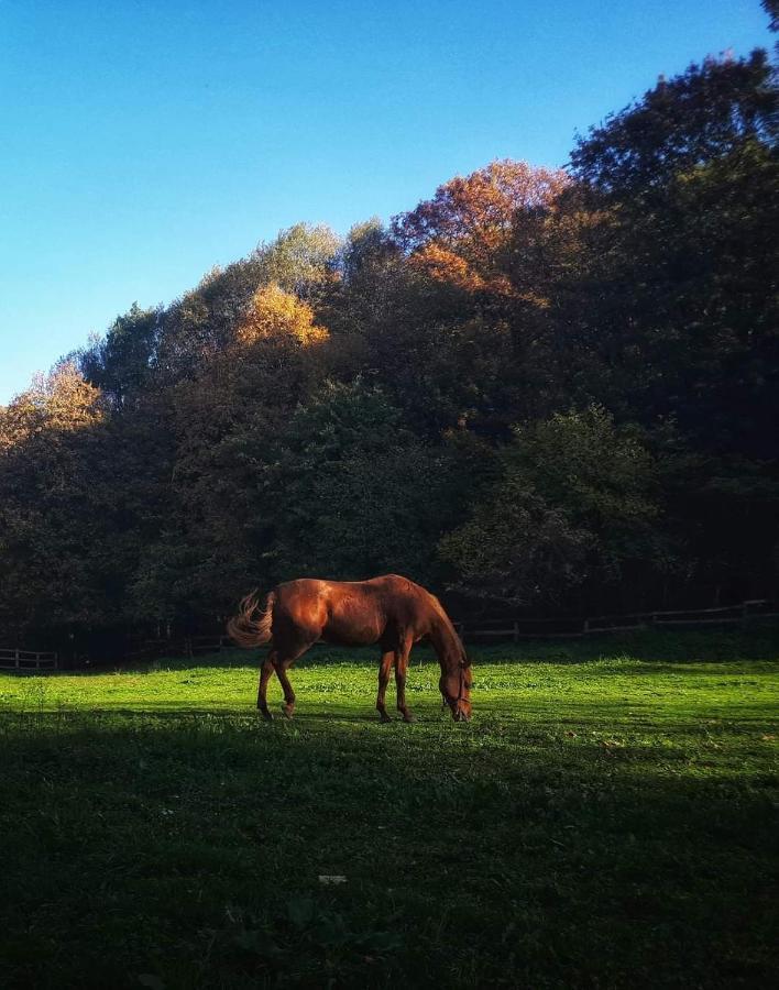Poljoprivredno Turisticko Domacinstvo Deguric Appartement Valjevo Buitenkant foto