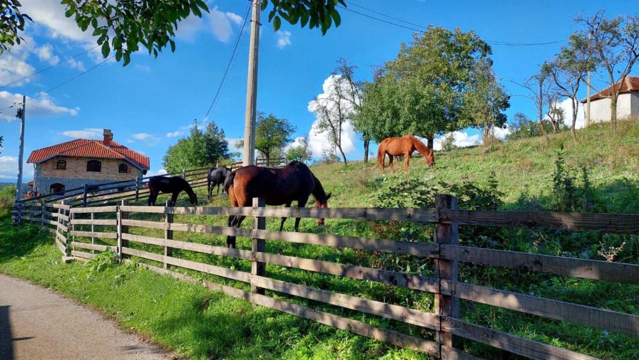 Poljoprivredno Turisticko Domacinstvo Deguric Appartement Valjevo Buitenkant foto